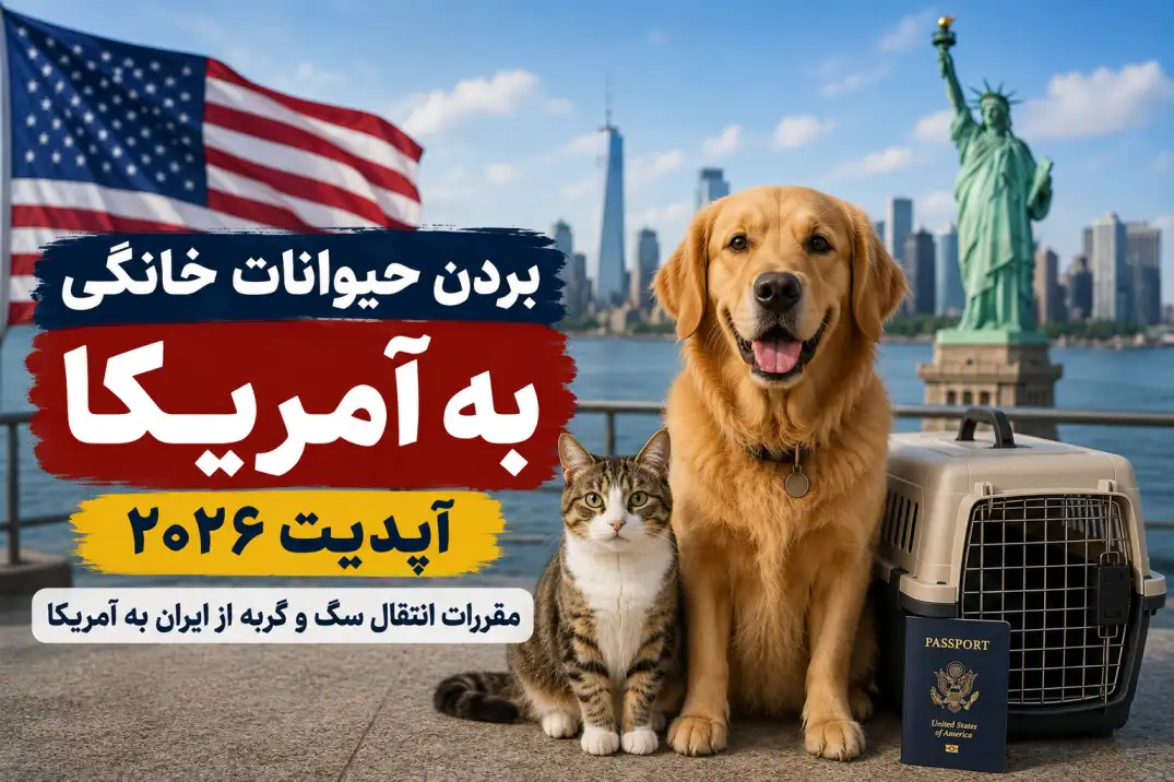 مهاجرت با پت به آمریکا