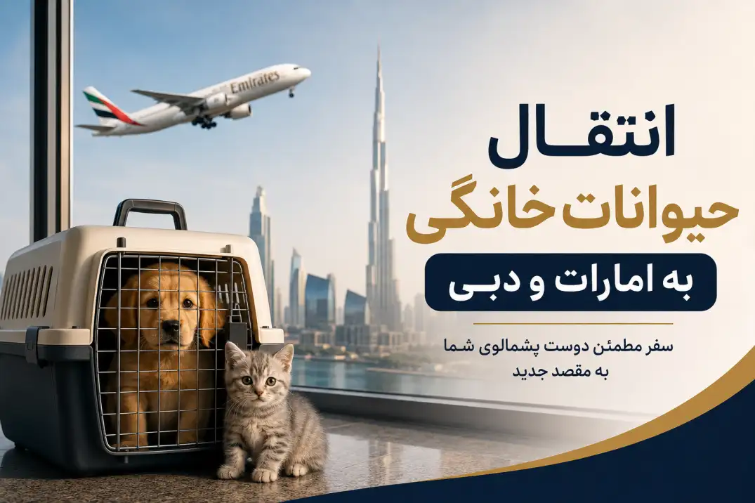 مهاجرت با پت به امارات