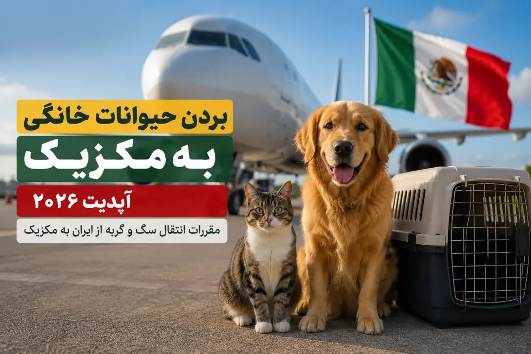 مهاجرت با پت به مکزیک