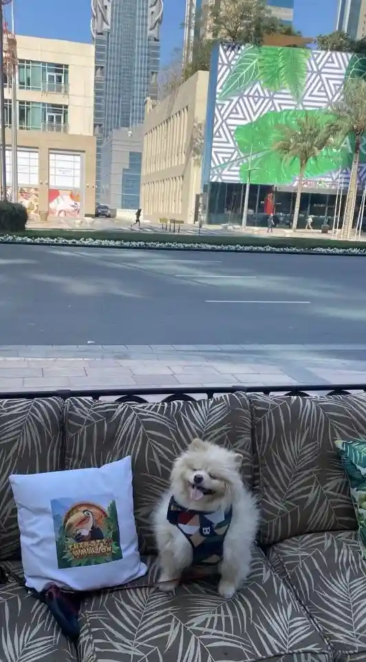 آقای رحمتی